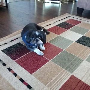 Meet your Posher, Deborah